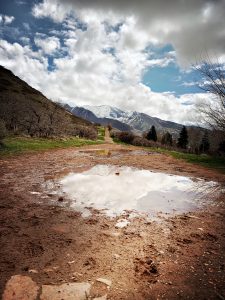 how to avoid midges